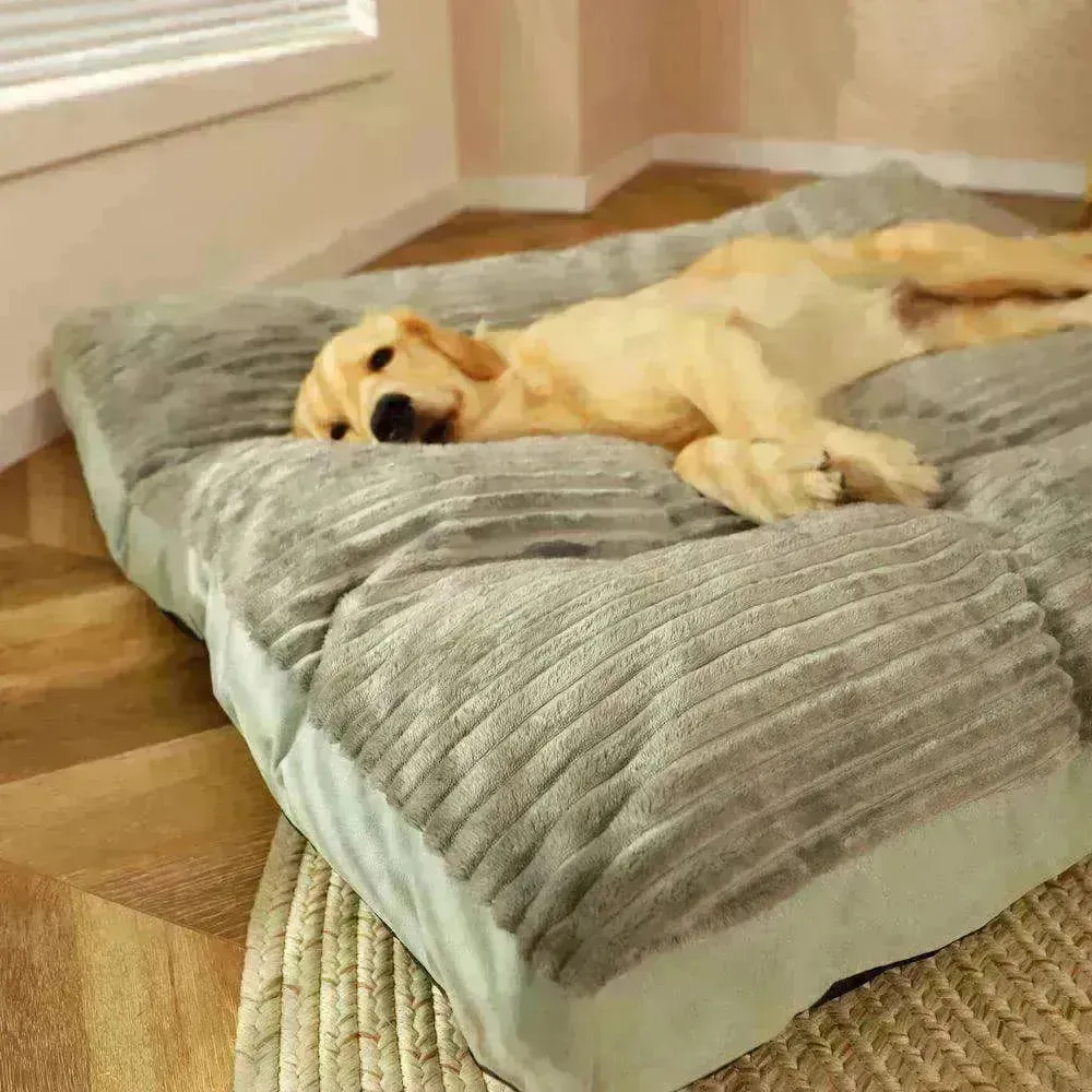 Relaxing and Removable Washable Pet Sleeping cushion