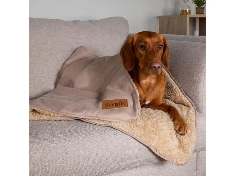 Scruffs Snuggle Blanket Tan