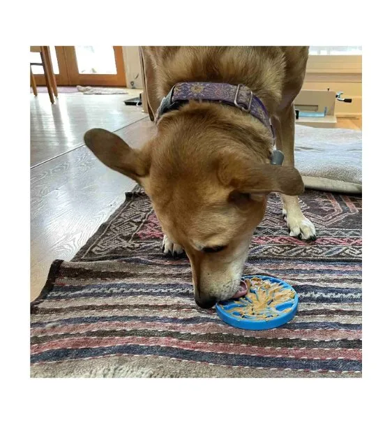 SodaPup Ultra-Durable Enrichment Snacking Coin For Dogs (Round / Yellow Earth)