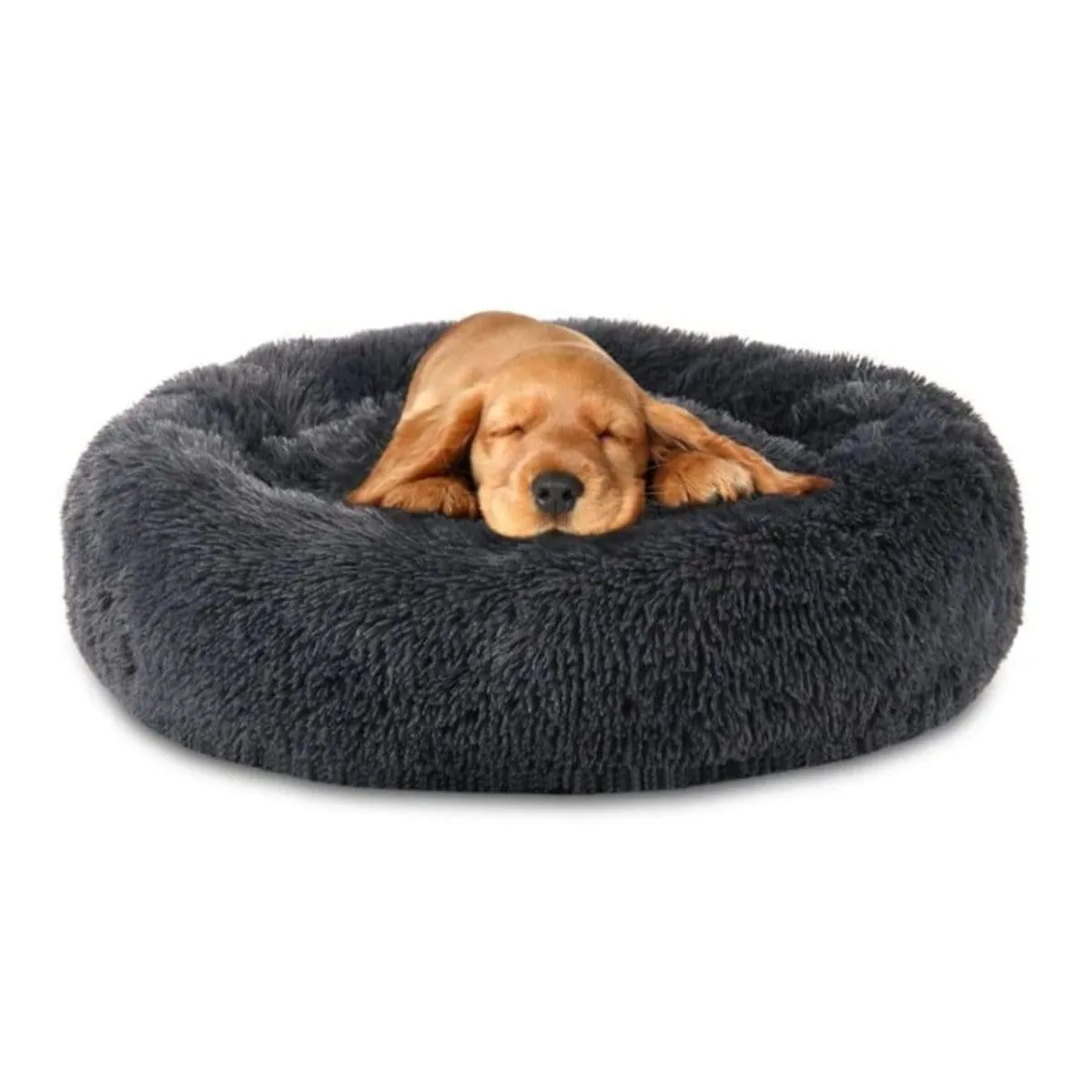 Soothing Dog Bed
