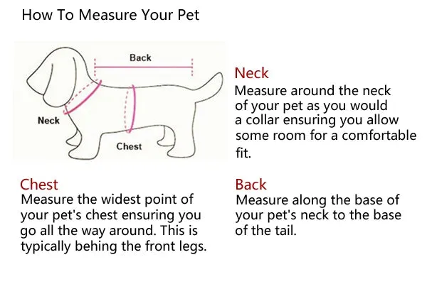 Stylish Navy-Style Dog Harness and Leash Set