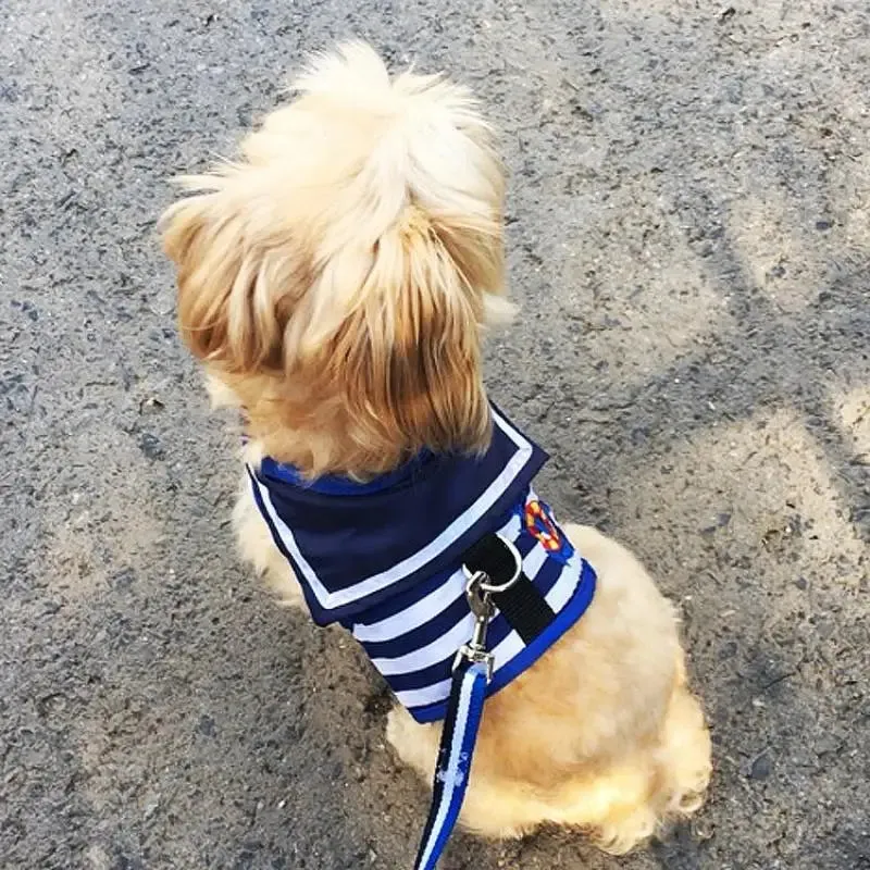 Stylish Navy-Style Dog Harness and Leash Set