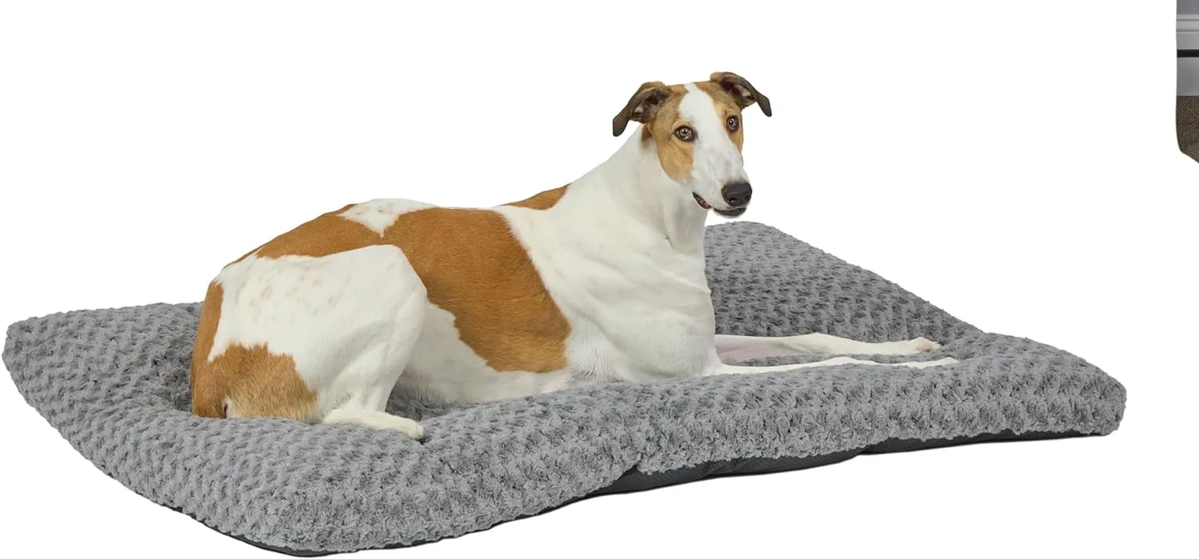 Super Plush Dog & Cat Beds Ideal for Dog Crates