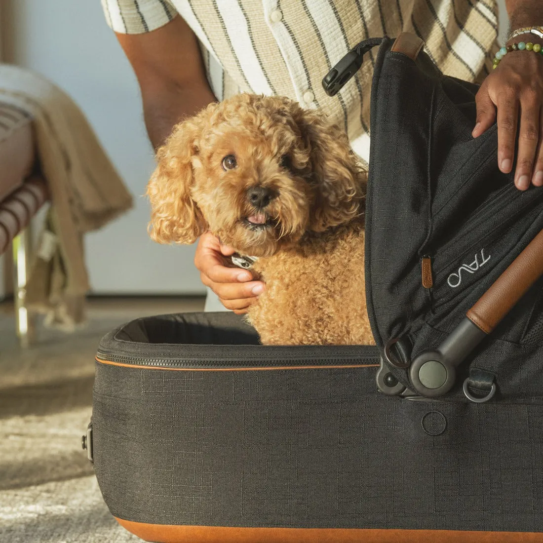 TAVO Pets Maeve   Roscoe 3-in-1 Pet Protection System - Medium Rigid