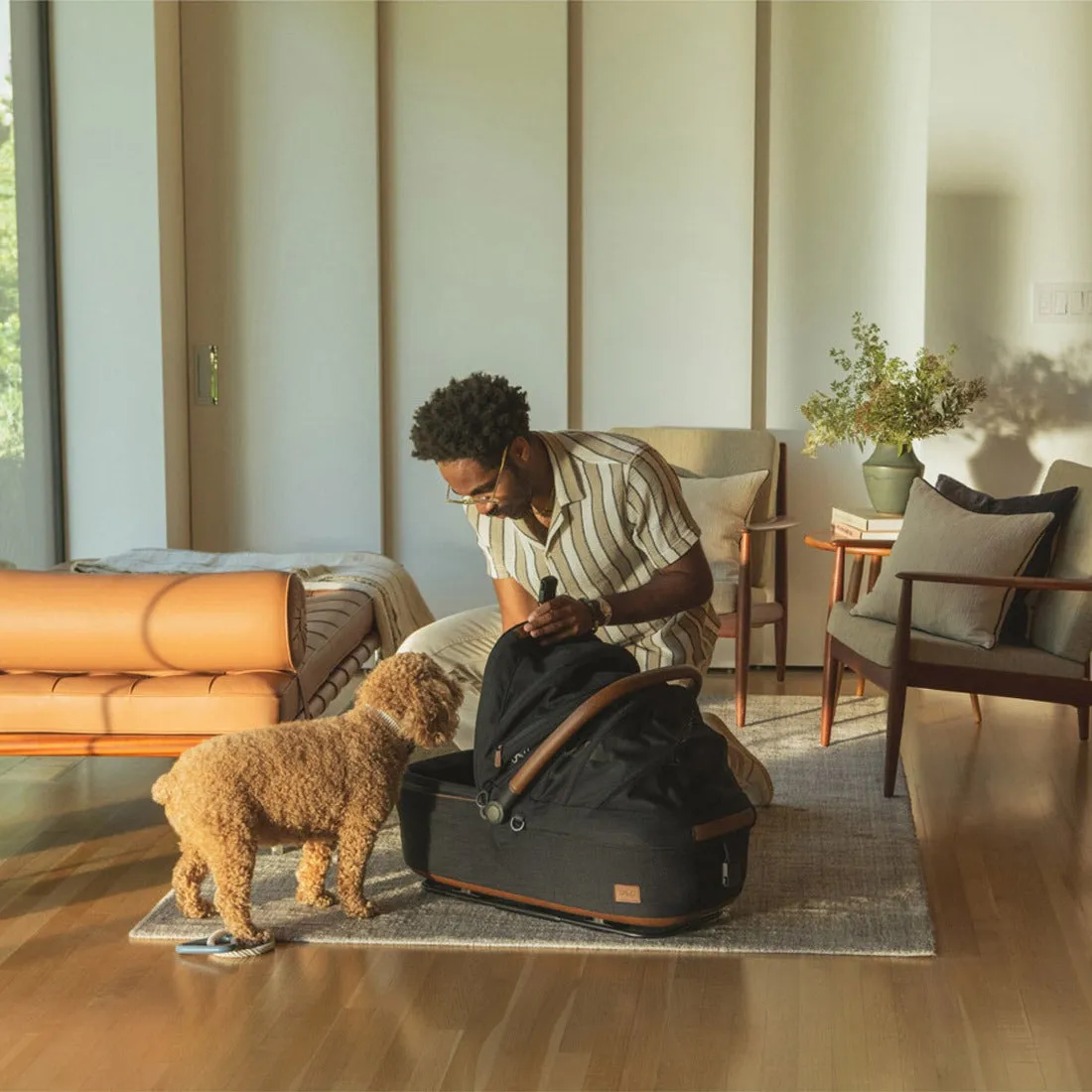 TAVO Pets Maeve   Roscoe 3-in-1 Pet Protection System - Medium Rigid