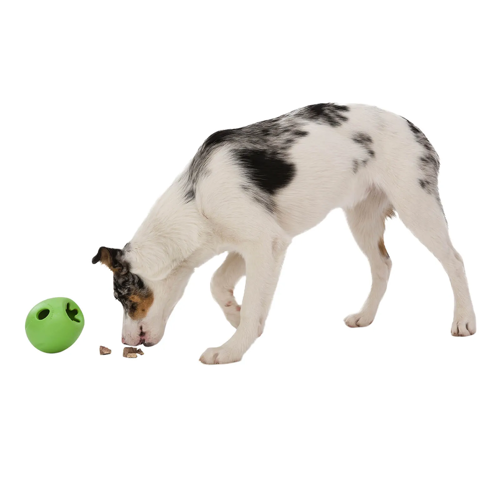 West Paw Rumbl Dog Puzzle Toy